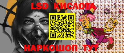 дмт Пенза