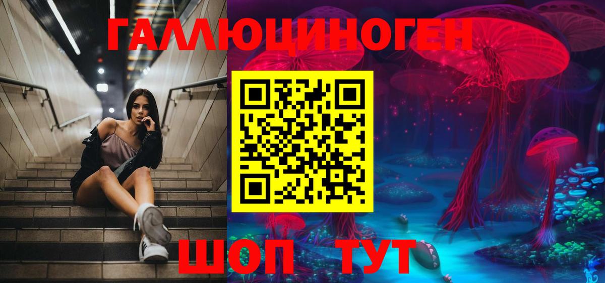Галлюциногенные грибы Psilocybine cubensis  Вход с VPN  Ртищево 