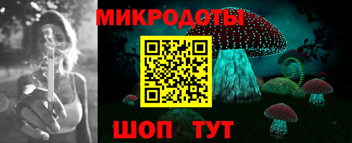 Псилоцибиновые грибы Psilocybe Ртищево