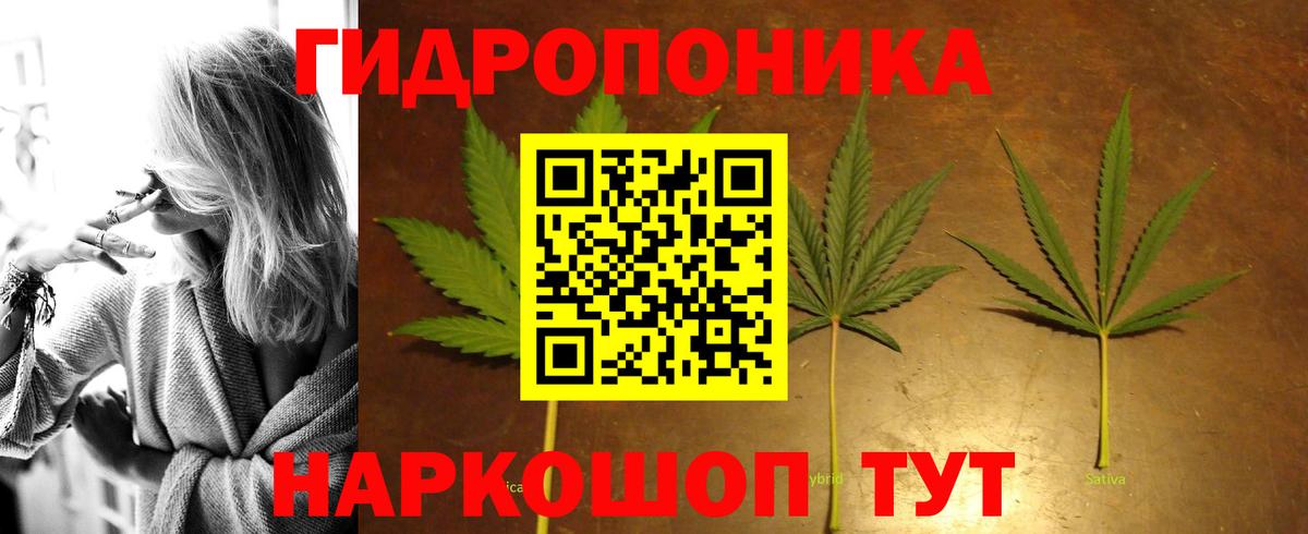 Бошки марихуана VHQ  МАРИХУАНА White Widow  Шишки марихуана SATIVA & INDICA  Вход с VPN  Марихуана гибрид  Ртищево 